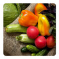 مگنت صباطرح مدل سبزی کد M389