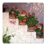 مگنت طرح گلدان و گربه کد wmg1511